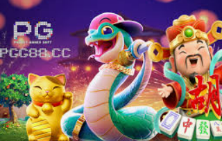 熊猫体育下载2024最新版