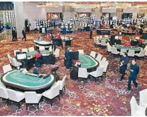 熊猫体育下载最新版